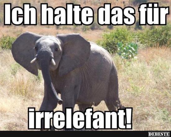 Ich halte das für irrelefant!