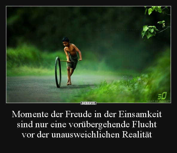 Momente der Freude in der Einsamkeit sind nur eine.. - Lustige Bilder | DEBESTE.de