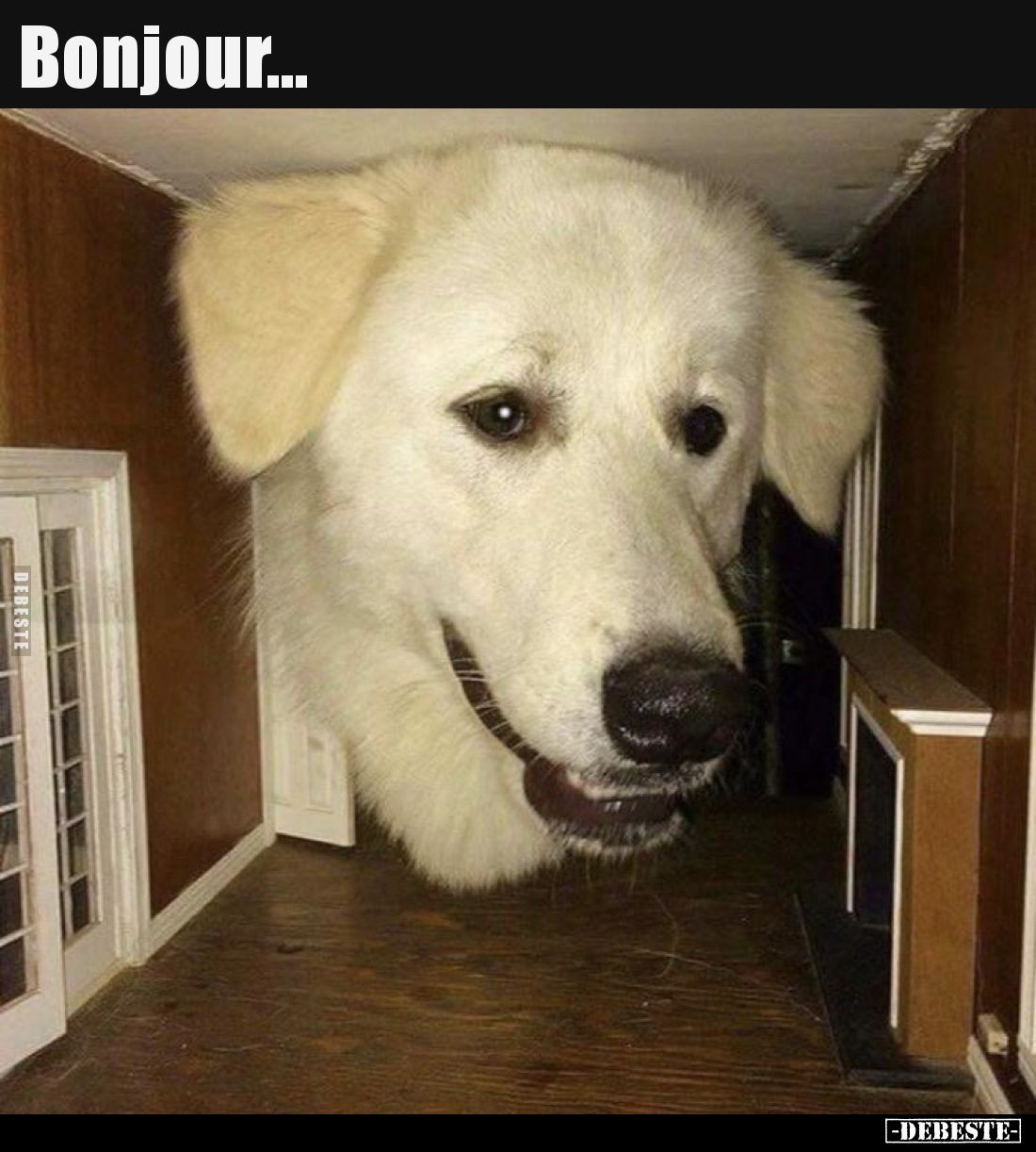 Bonjour...