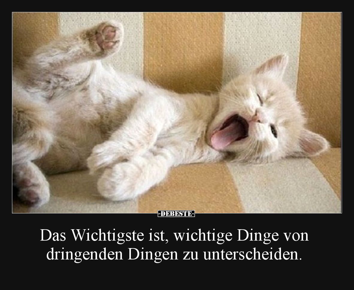 Das Wichtigste ist, wichtige Dinge von dringenden Dingen zu unterscheiden.