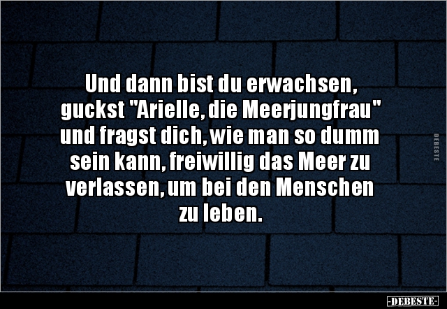Und dann bist du erwachsen, guckst "Arielle, die.." - Lustige Bilder | DEBESTE.de