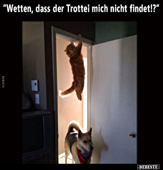 "Wetten, dass der Trottel mich nicht findet!?"..