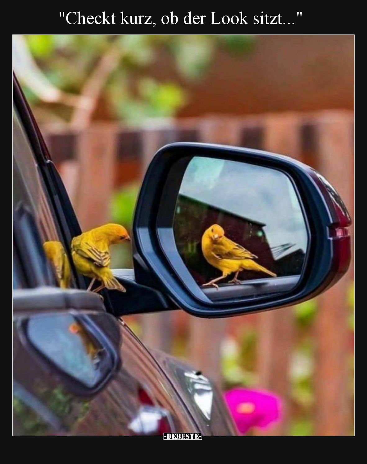 "Checkt kurz, ob der Look sitzt..."