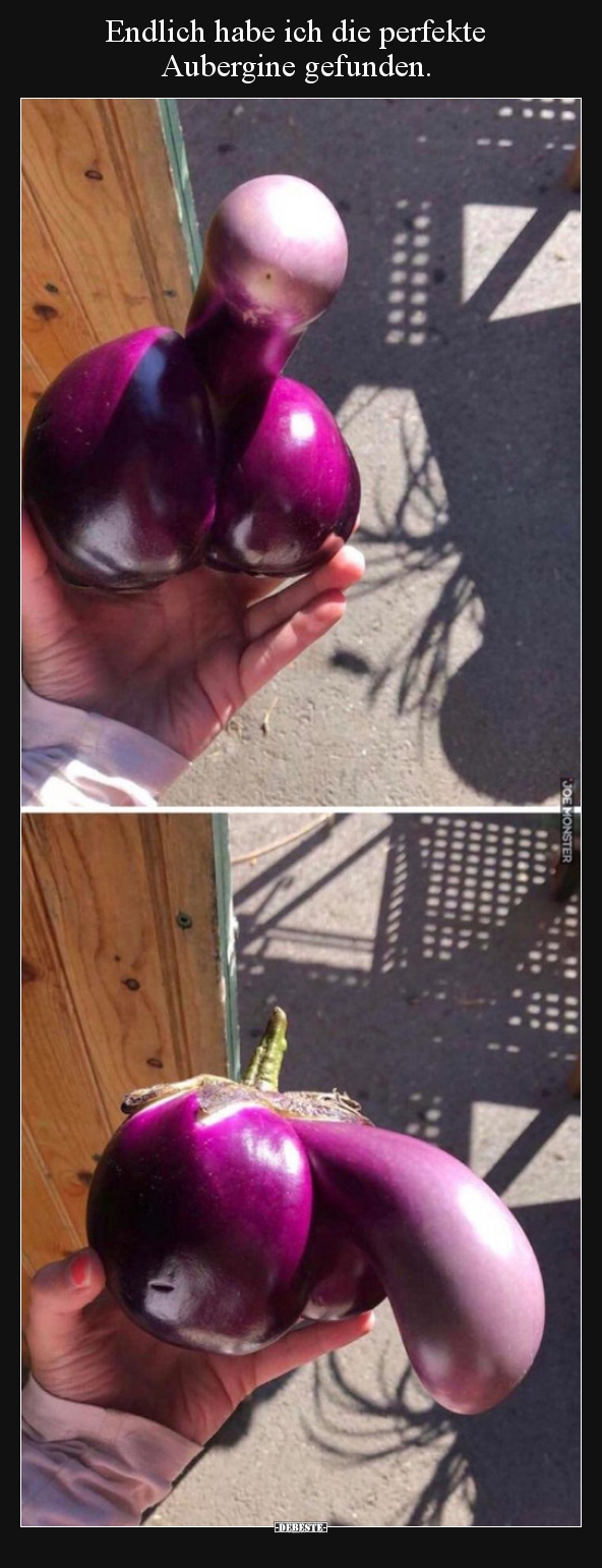 Endlich habe ich die perfekte Aubergine gefunden...