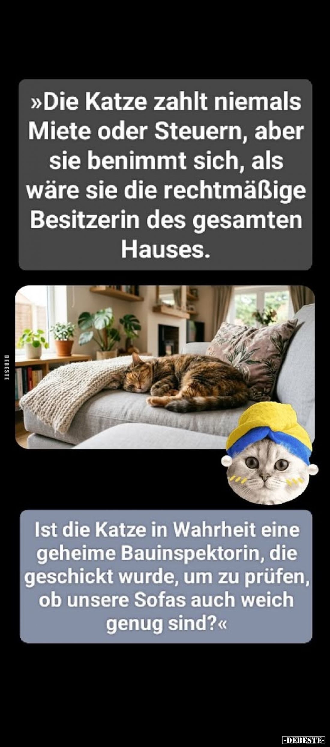 >>Die Katze zahlt niemals Miete oder Steuern, aber sie.. - Lustige Bilder | DEBESTE.de