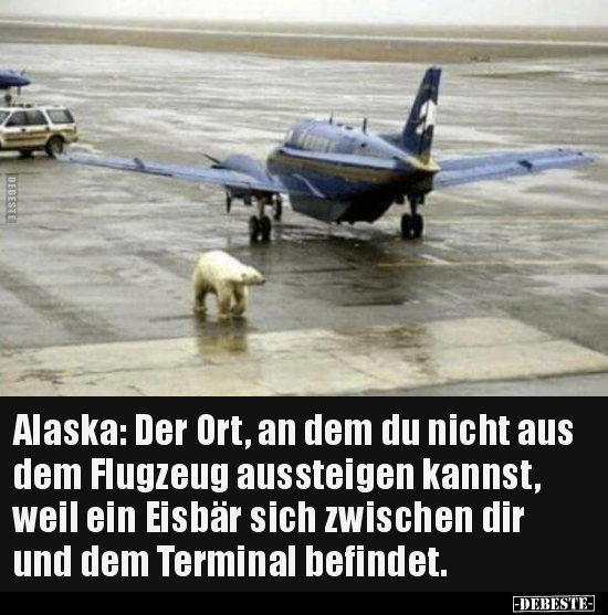 Alaska: Der Ort, an dem du nicht aus dem Flugzeug.. - Lustige Bilder | DEBESTE.de
