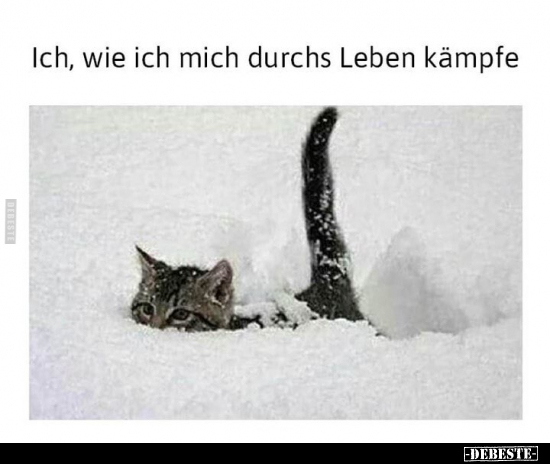 Ich, wie ich mich durchs Leben kämpfe