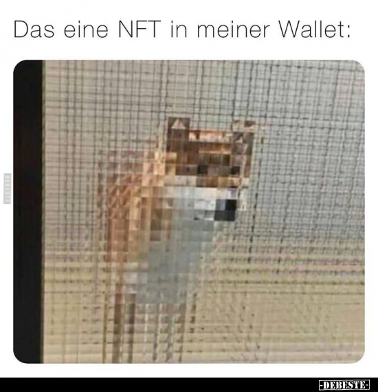 Das eine NFT in meiner Wallet: