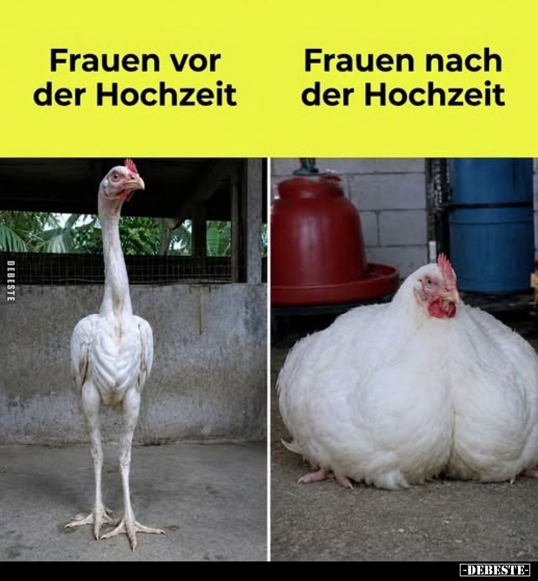 Frauen vor der Hochzeit / Frauen nach der Hochzeit.. - Lustige Bilder | DEBESTE.de