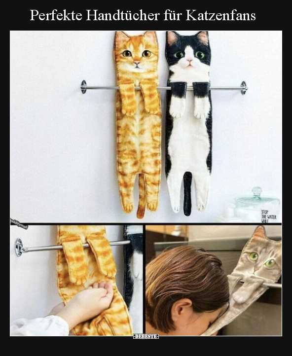 Perfekte Handtücher für Katzenfans.. - Lustige Bilder | DEBESTE.de