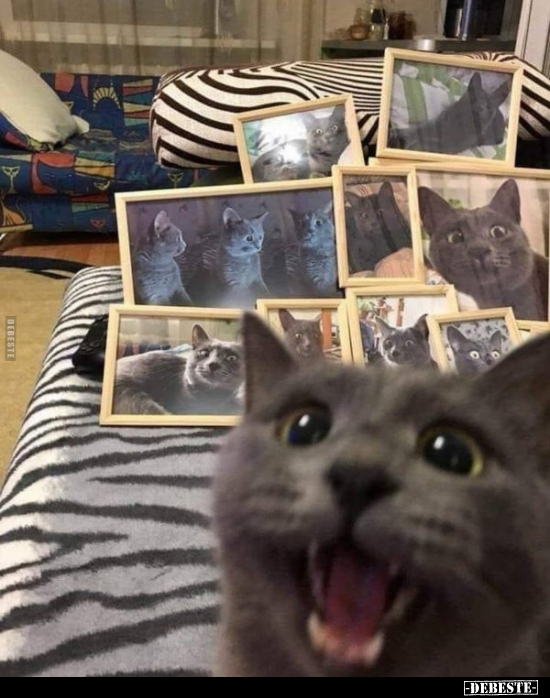  - Lustige Bilder | DEBESTE.de