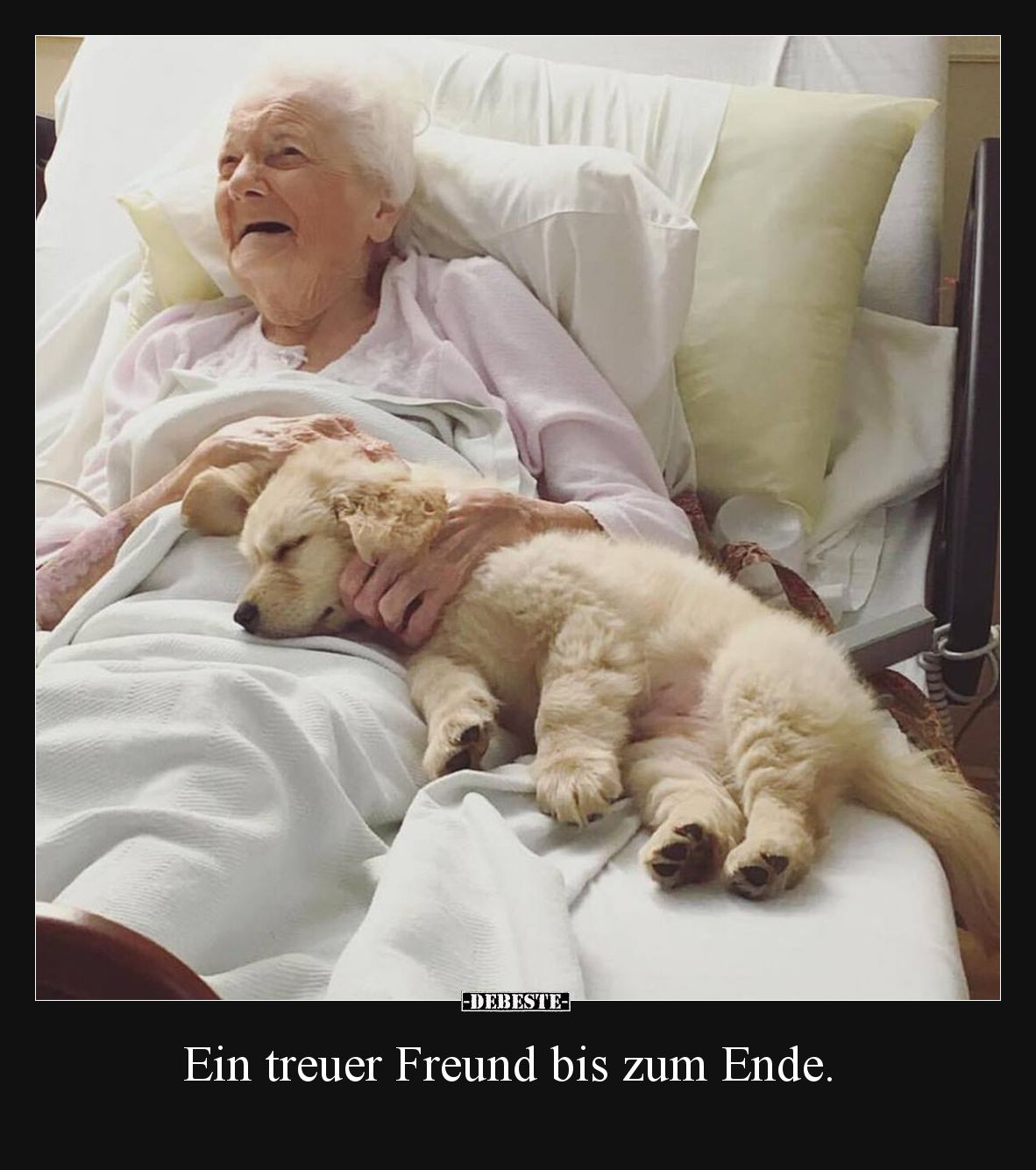 Ein treuer Freund bis zum Ende... - Lustige Bilder | DEBESTE.de