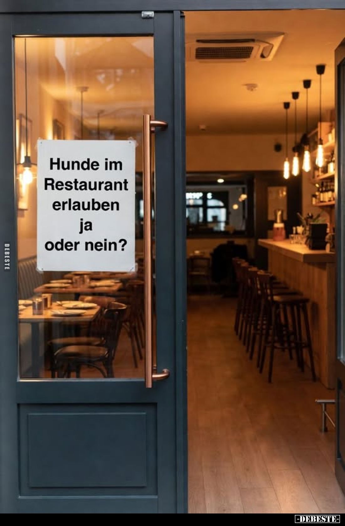 Hunde im Restaurant erlauben ja oder nein?