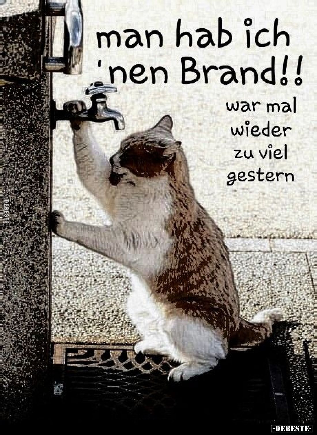 Man hab ich 'nen Brand!!
War mal wieder zu viel gestern.