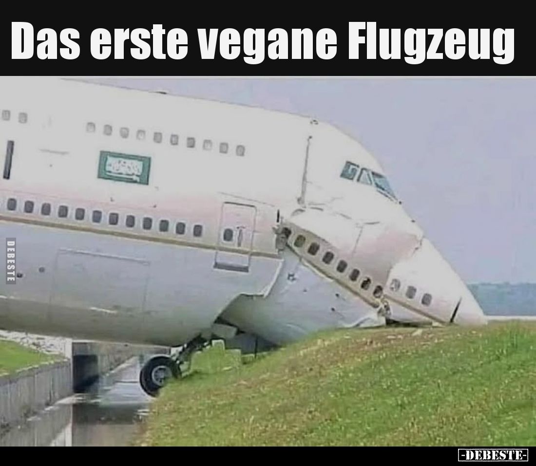 Das erste vegane Flugzeug