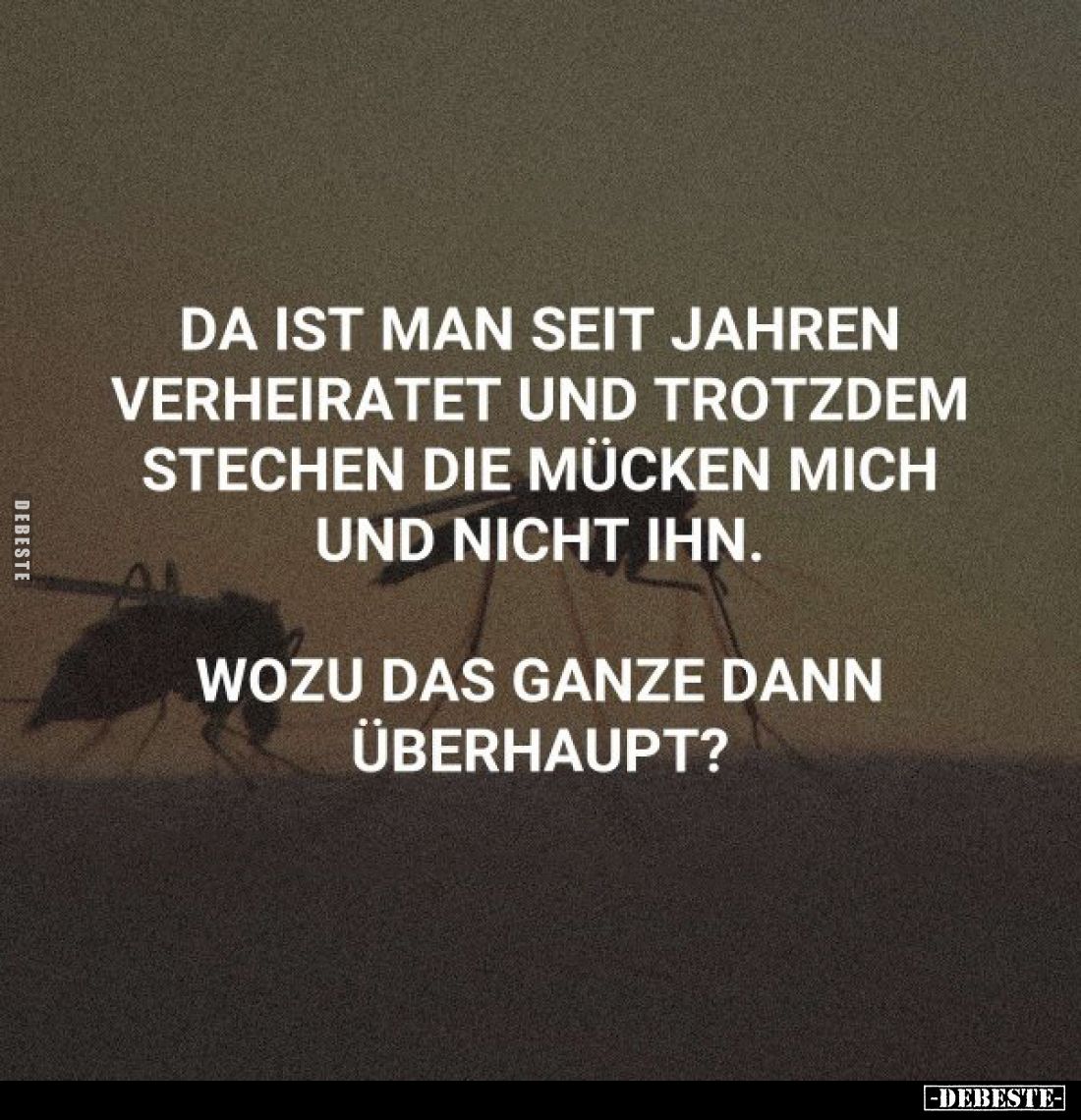 Da ist man seit Jahren verheiratet und trotzdem stechen.. - Lustige Bilder | DEBESTE.de