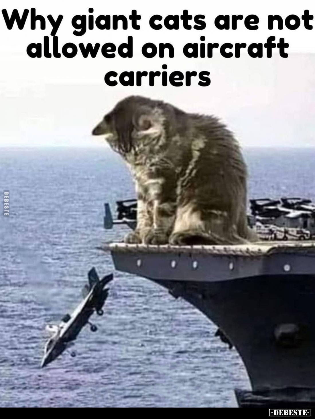 Why giant cats are not allowed on aircraft carriers.
