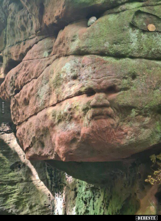  - Lustige Bilder | DEBESTE.de