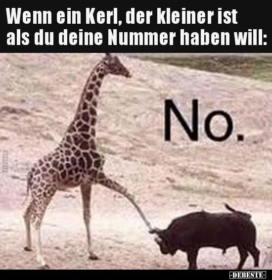 Wenn ein Kerl, der kleiner ist als du deine Nummer haben..