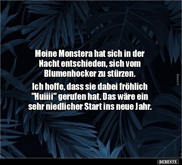 Meine Monstera hat sich in der Nacht entschieden.. - Lustige Bilder | DEBESTE.de