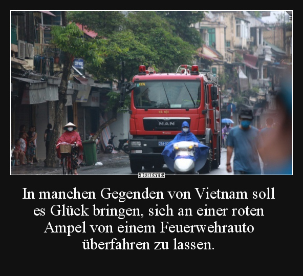 In manchen Gegenden von Vietnam soll es Glück bringen.. - Lustige Bilder | DEBESTE.de