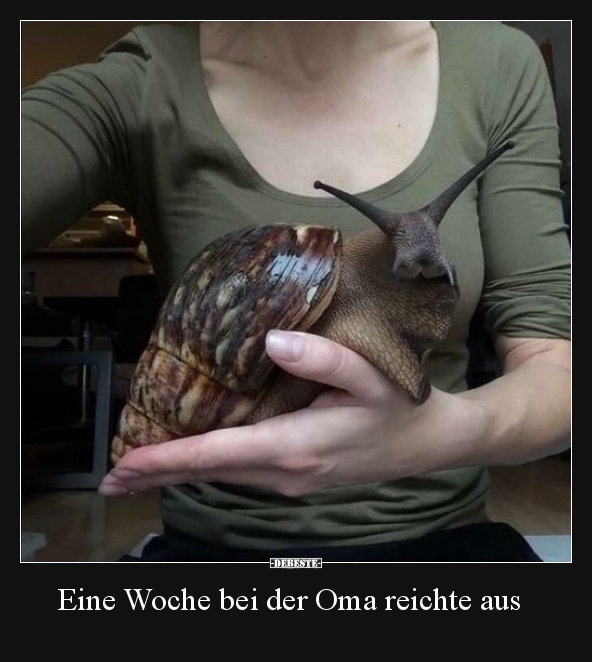Eine Woche bei der Oma reichte aus..