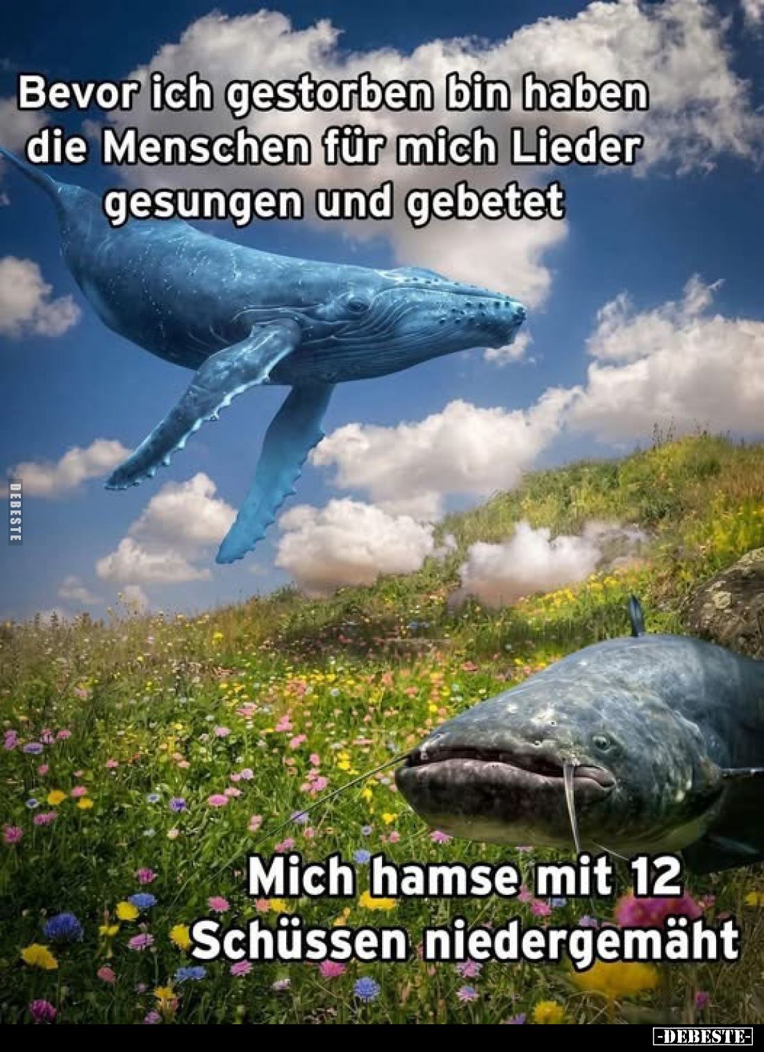 Bevor ich gestorben bin haben die Menschen für mich Lieder gesungen und gebetet.
Mich hamse mit 12 Schüssen niedergemäht.