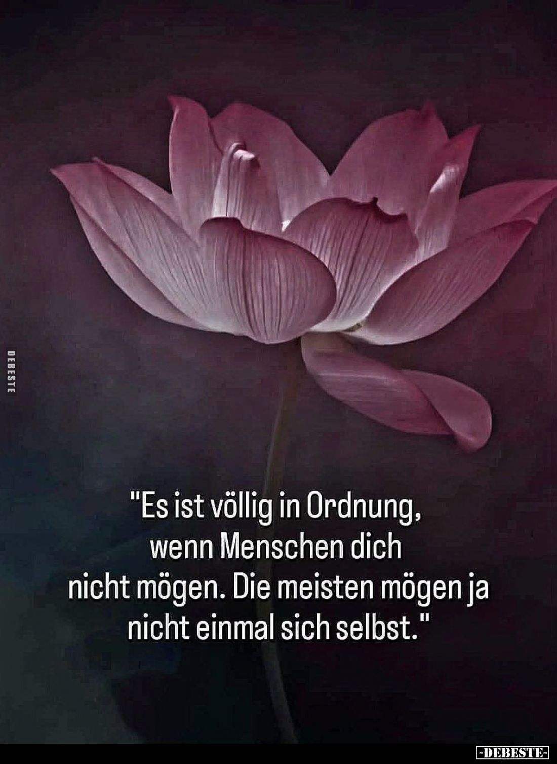 "Es ist völlig in Ordnung...." - Lustige Bilder | DEBESTE.de