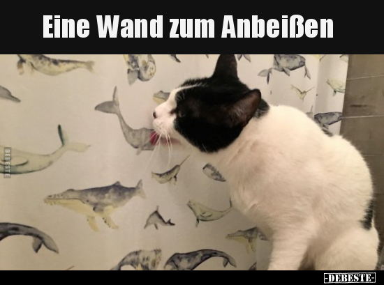 Eine Wand zum Anbeißen.. - Lustige Bilder | DEBESTE.de