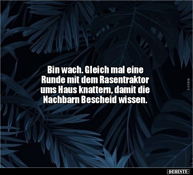 Bin wach. Gleich mal eine Runde mit dem Rasentraktor.. - Lustige Bilder | DEBESTE.de