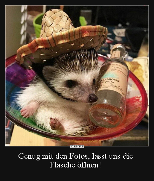 Genug mit den Fotos, lasst uns die Flasche öffnen!.. - Lustige Bilder | DEBESTE.de