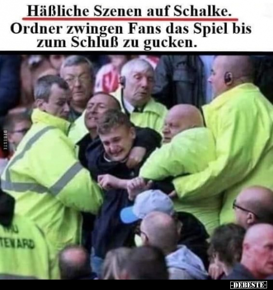 Häßliche Szenen auf Schalke. Ordner zwingen Fans das Spiel.. - Lustige Bilder | DEBESTE.de