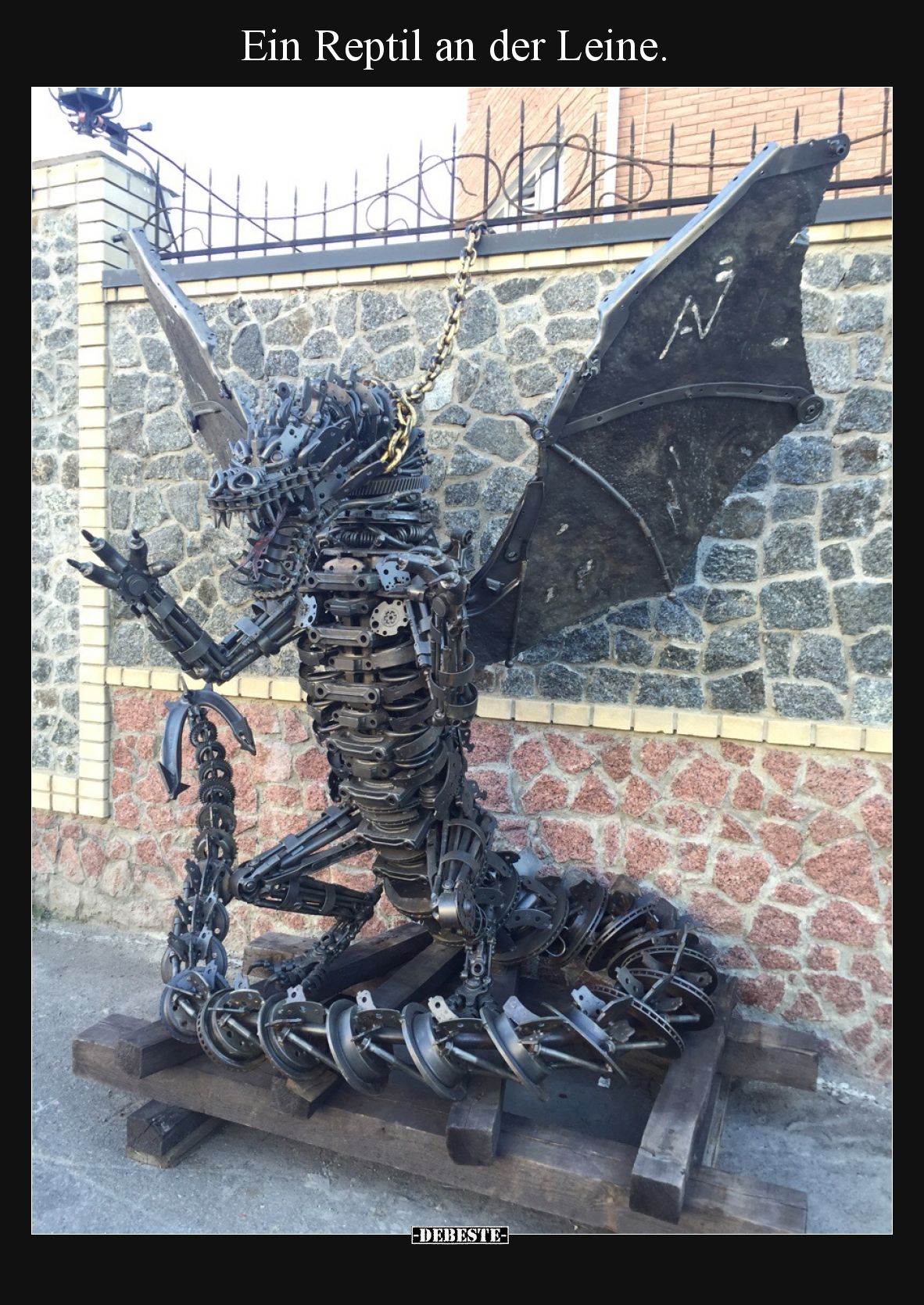 Ein Reptil an der Leine