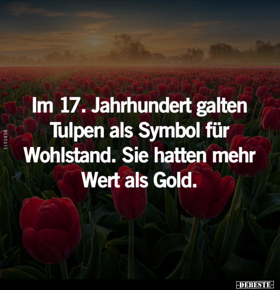 Im 17. Jahrhundert galten Tulpen.. - Lustige Bilder | DEBESTE.de