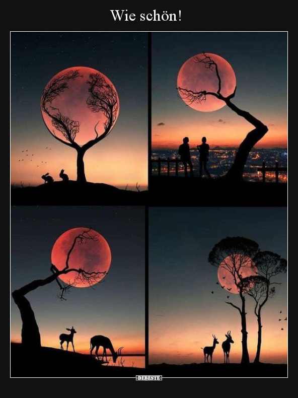 Wie schön!