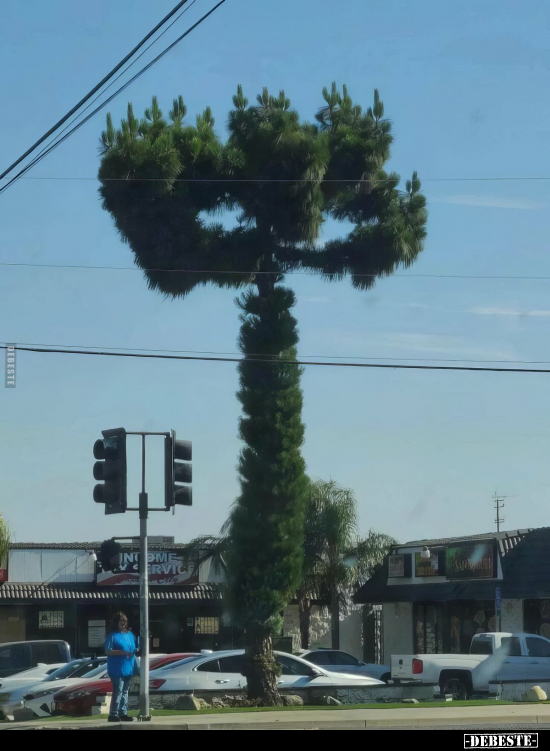  - Lustige Bilder | DEBESTE.de