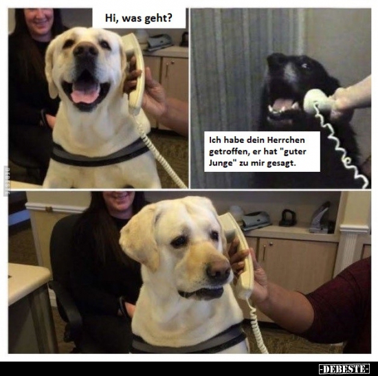 Hi, was geht? Ich habe dein Herrchen getroffen, er hat..