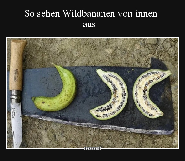 So sehen Wildbananen von innen aus... - Lustige Bilder | DEBESTE.de