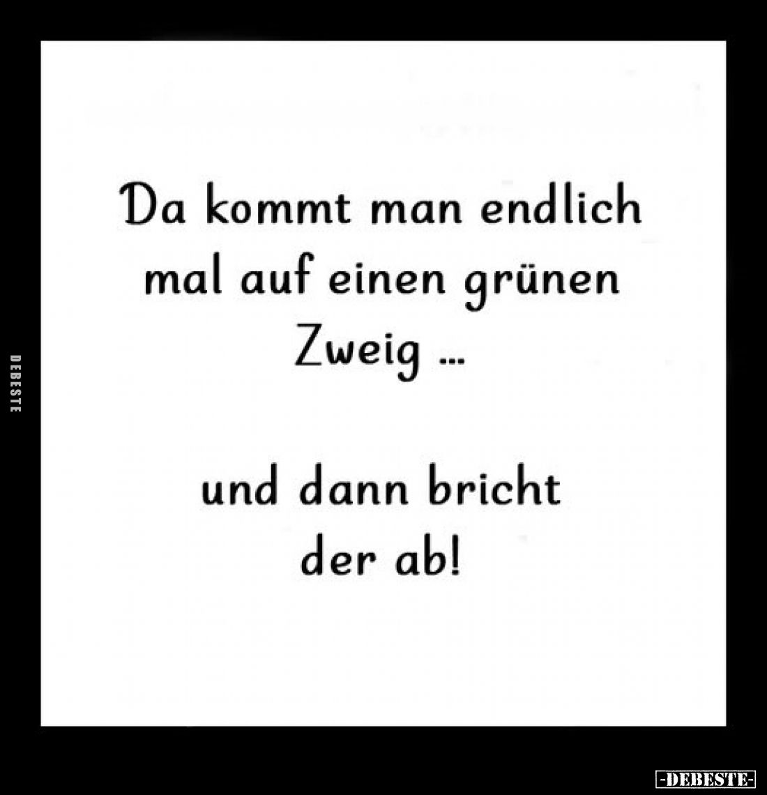 Da kommt man endlich mal auf einen grünen Zweig...
und dann bricht der ab!