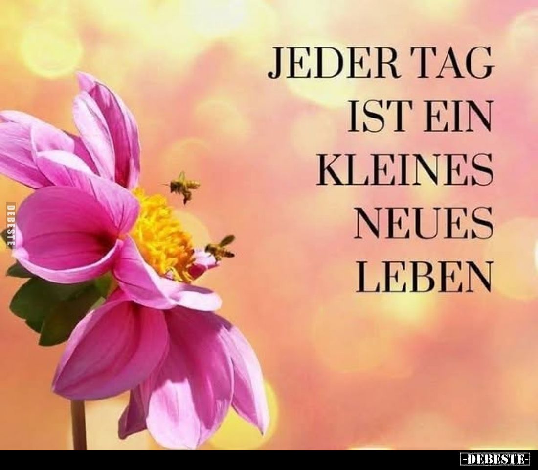 jeder Tag ist ein kleines neues Leben