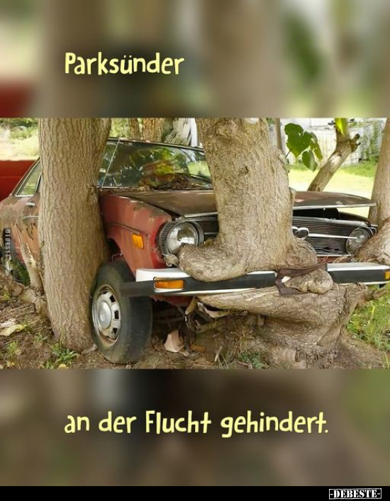 Parksünder an der Flucht gehindert... - Lustige Bilder | DEBESTE.de