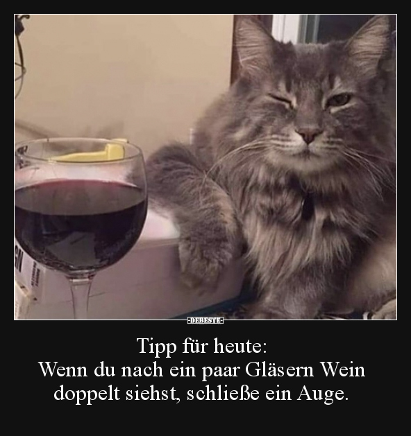 Tipp für heute: Wenn du nach ein paar Gläsern Wein.. - Lustige Bilder | DEBESTE.de