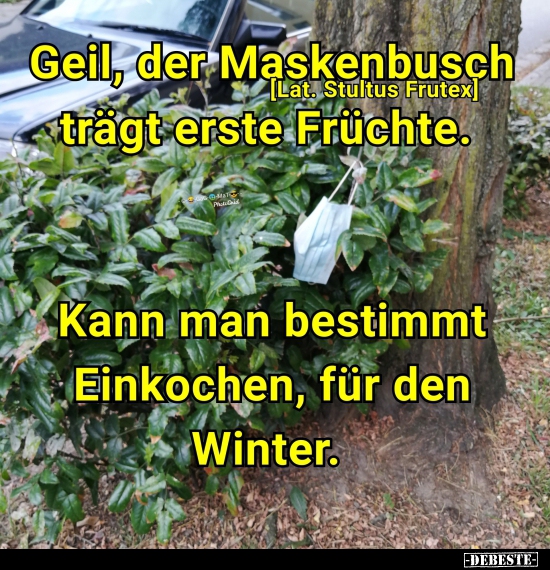 Geil, der Maskenbusch trägt erste Früchte... - Lustige Bilder | DEBESTE.de
