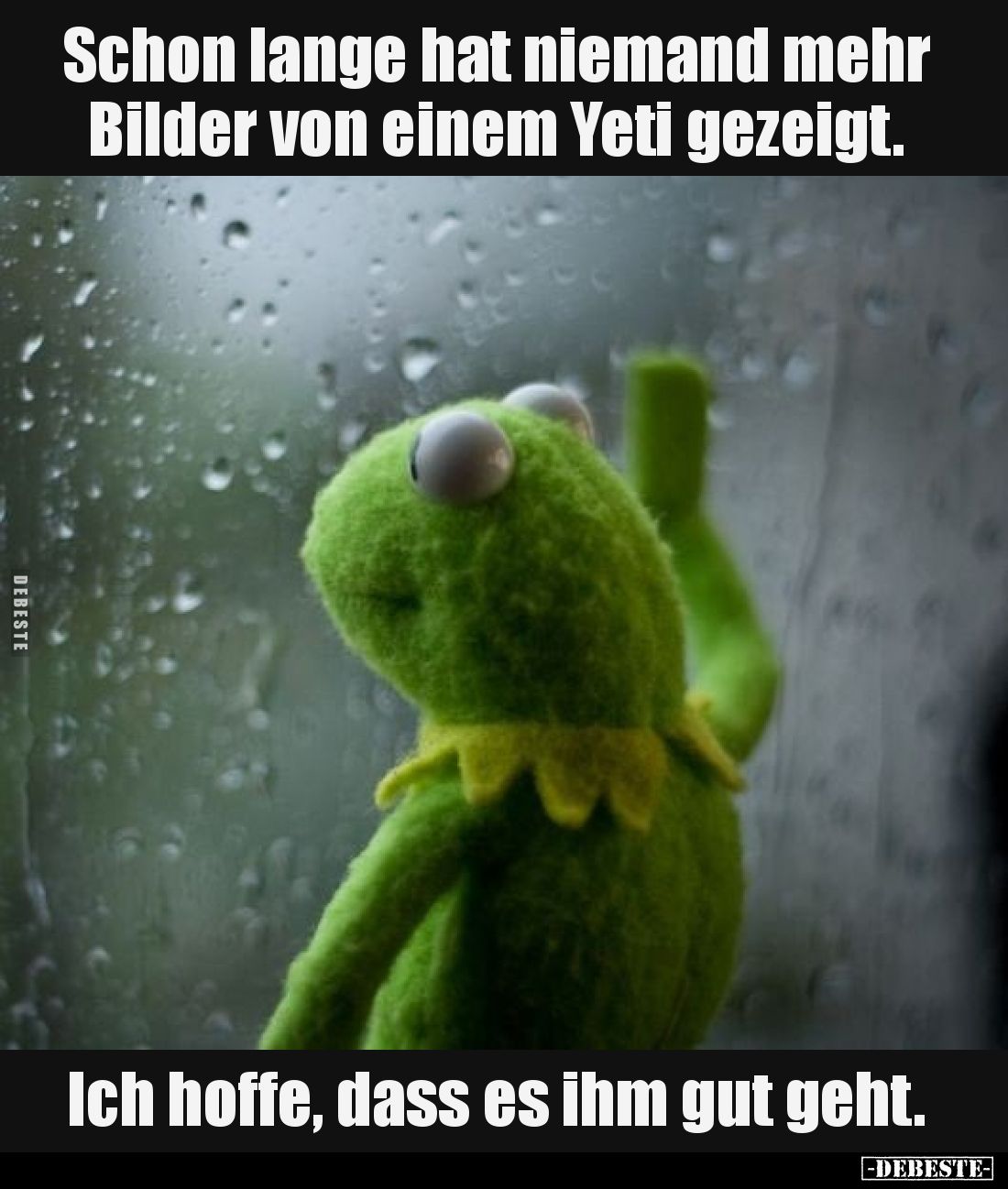 Schon lange hat niemand mehr Bilder von einem Yeti gezeigt.
Ich hoffe, dass es ihm gut geht.