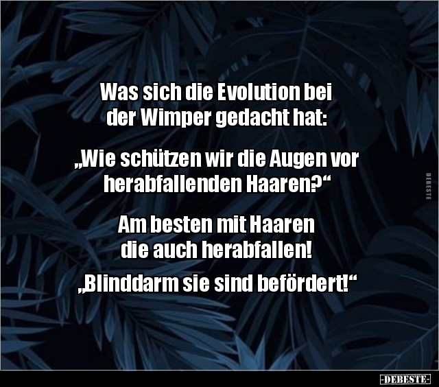 Was sich die Evolution bei der Wimper gedacht.. - Lustige Bilder | DEBESTE.de