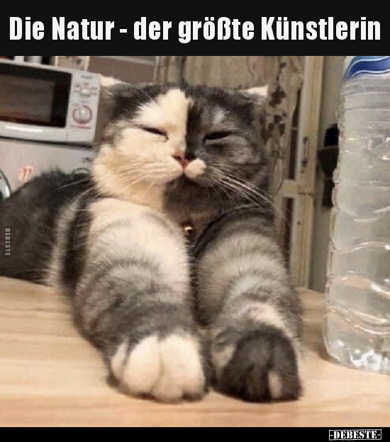 Natur, Künstler