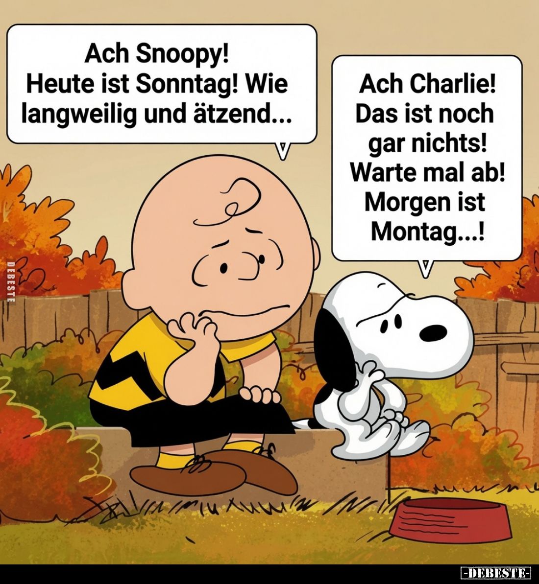 Ach Snoopy! Heute ist Sonntag! Wie langweilig und ätzend...
Ach Charlie! Das ist noch gar nichts! Warte mal ab! Morgen ist...