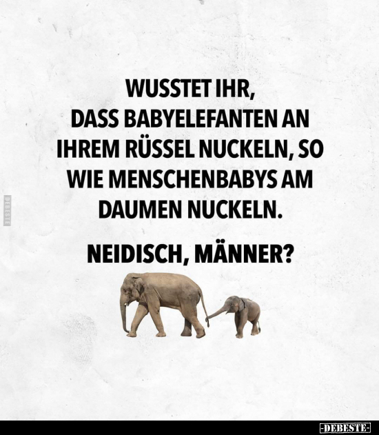 Wusstet ihr, dass Babyelefanten an ihrem Rüssel nuckeln, so.. - Lustige Bilder | DEBESTE.de
