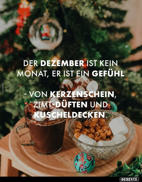 Der Dezember ist kein Monat.. - Lustige Bilder | DEBESTE.de