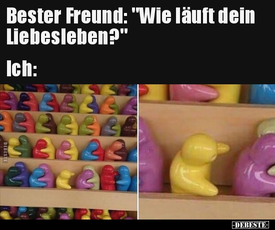 Bester Freund: "Wie läuft dein Liebesleben?"... - Lustige Bilder | DEBESTE.de